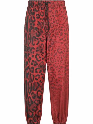 Dolce & Gabbana leopard-print two-tone joggers - Red