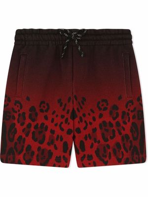 Dolce & Gabbana Kids gradient leopard-print shorts - Black