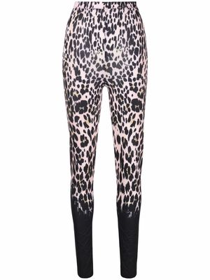 Roberto Cavalli leopard-print leggings - Pink