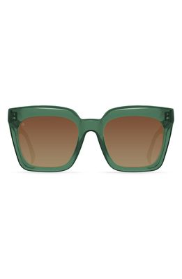 RAEN Vine 54mm Square Sunglasses in Fern /Groovy Brown