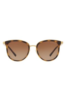 Michael Kors 54mm Round Sunglasses in Dark Tortoise/Gold/Brown