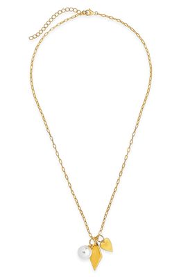 Sterling Forever Delicate Charm Necklace in Gold