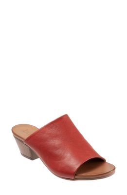 Bueno Simone Slide Sandal in Terracotta Leather