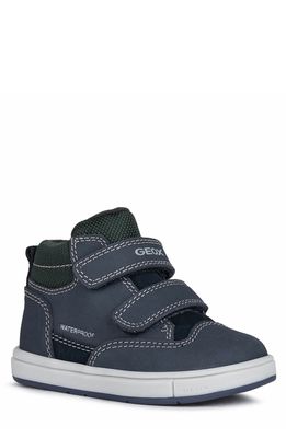 Geox Trottola Sneaker in Navy/Military