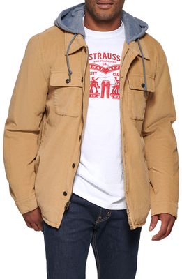 levi's Faux Shearling Lined Hooded Corduroy Shirt Jacket in Tan