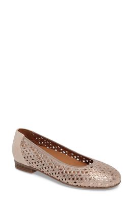 ara Stephanie Perforated Ballet Flat in Rose Gold Leather
