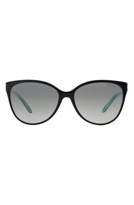 Tiffany & Co. 58mm Gradient Cat Eye Sunglasses in Black/Blue/Black Gradient
