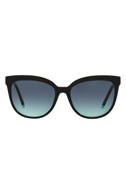 Tiffany & Co. 55mm Gradient Cat Eye Sunglasses in Black Blue