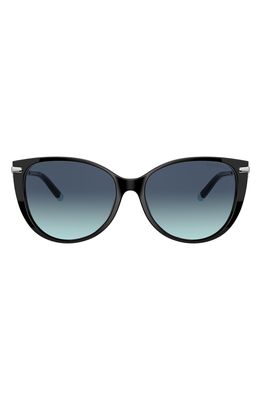 Tiffany & Co. 57mm Gradient Cat Eye Sunglasses in Black/Azure Gradient Blue