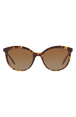 Tiffany & Co. Phantos 54mm Polarized Cat Eye Sunglasses in Dark Havana/Brown Grad