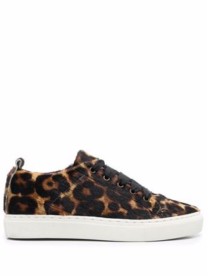 Manebi leopard-pattern low-top sneakers - Brown