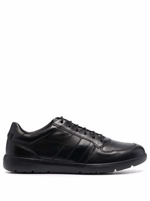 Geox Leitan H low top sneakers - Black