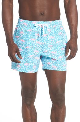 Chubbies 5.5-Inch Swim Trunks in The Domingos Are For Flamingos