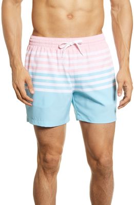 Chubbies 5.5-Inch Swim Trunks in The On The Horizons