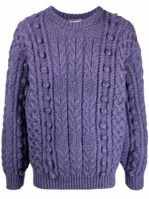 Issey Miyake Pre-Owned 1980s chunky cable-knit jumper - Purple