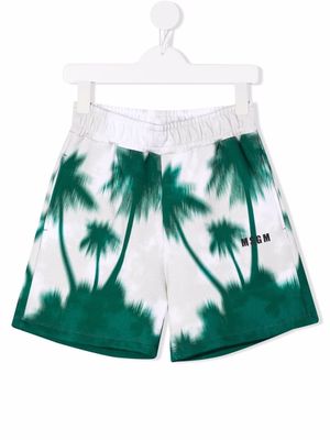 MSGM Kids palm tree-print shorts - Neutrals