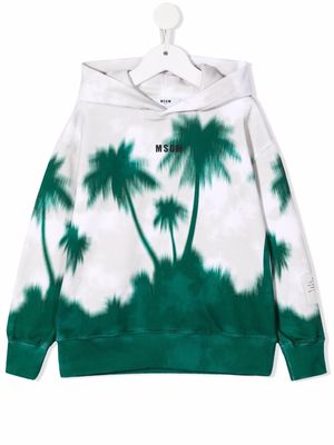 MSGM Kids palm tree-print hoodie - Green