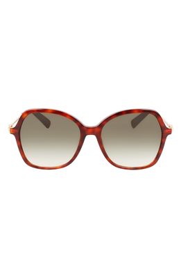 Longchamp 57mm Amazone Modified Rectangle Sunglasses in Havana