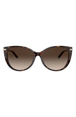 Tiffany & Co. 57mm Gradient Cat Eye Sunglasses in Havana/Brown Gradient
