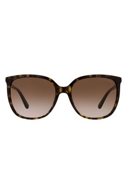 Michael Kors 57mm Gradient Cat Eye Sunglasses in Dark Tort