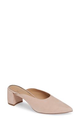 Linea Paolo Zadie Pointy Toe Mule in Blush Suede