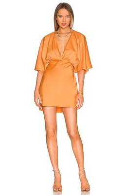 AIIFOS Issa Mini Dress in Orange