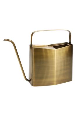 Modern Sprout Watering Can in Antique Brass