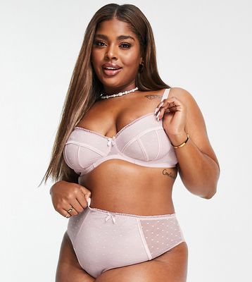 Ivory Rose Curve dotted mesh high waist high leg briefs in mink-Neutral