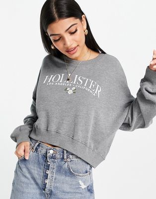 Hollister logo sweatshirt in gray-Grey