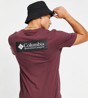 Columbia North Cascades back print T-shirt in burgundy - Exclusive to ASOS-Red