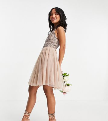 Maya Petite Bridesmaid halterneck mini tulle dress with tonal delicate sequin in taupe blush-Pink