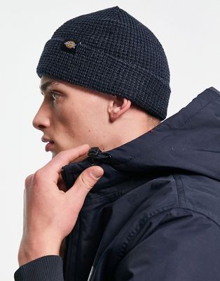 Dickies Woodworth waffle beanie in navy