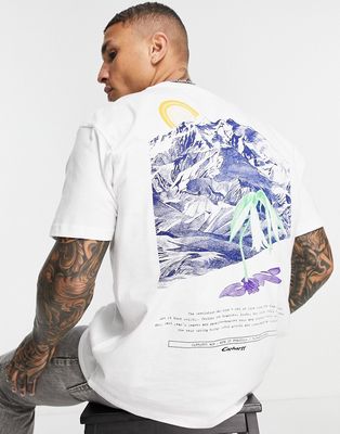 Carhartt WIP mountain back print t-shirt in white