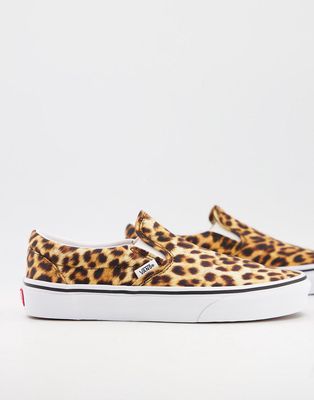 Vans Leopard slip on sneakers in black