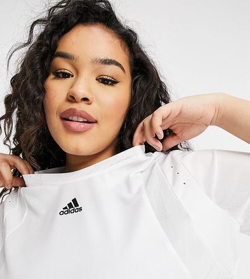 Adidas Training Plus t-shirt in white