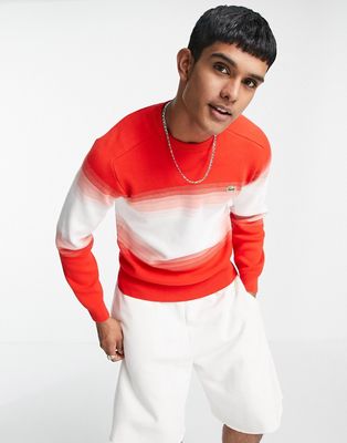 Lacoste stripe crew neck sweater-Red