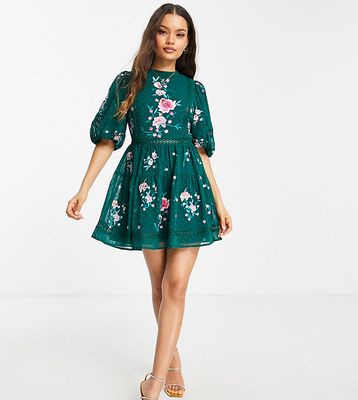 ASOS DESIGN Petite high neck textured embroidered mini dress with lace trims in forest green