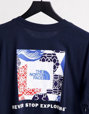 The North Face IC Geo NSE Box back print t-shirt in navy