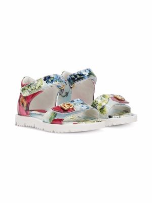 Dolce & Gabbana Kids floral print touch-strap sandals - Brown