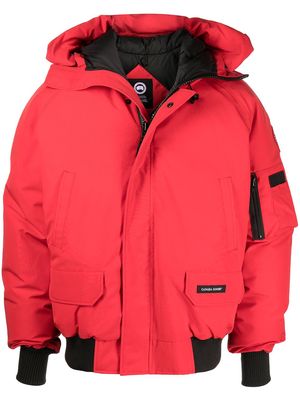 Canada Goose Chilliwack padded down jacket - Red