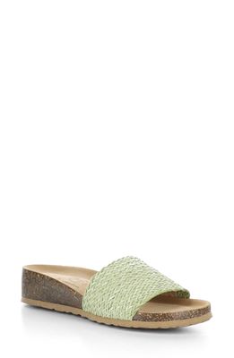 Bos. & Co. Lacie Wedge Sandal in Sharp Green