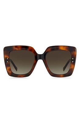Jimmy Choo Aurigs 53mm Gradient Square Sunglasses in Havana /Brown Gradient