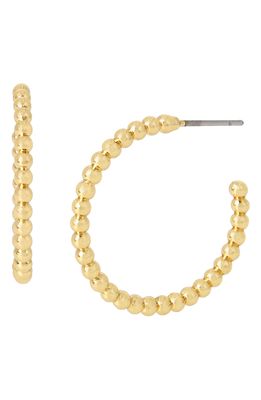 AllSaints Ballchain Hoop Earrings in Gold