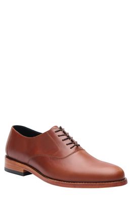 Nisolo Everyday Oxford in Brandy
