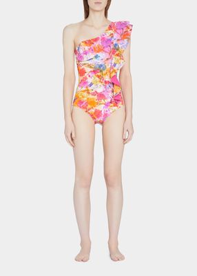 Didi One-Shoulder One-Piece Ruffle Swimsuit