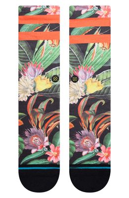 Stance Playa Larga Socks in Multi