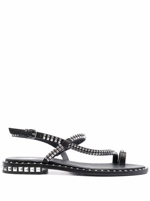 ASH stud-embellished slingback sandals - Black