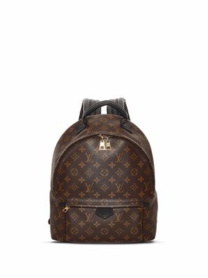 Louis Vuitton pre-owned monogram Palm Springs MM backpack - Brown