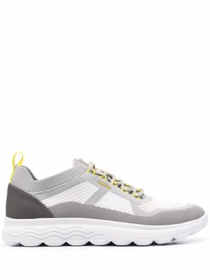 Geox panelled lace up trainers - Grey