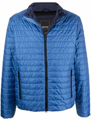 Geox Wilmer padded jacket - Blue